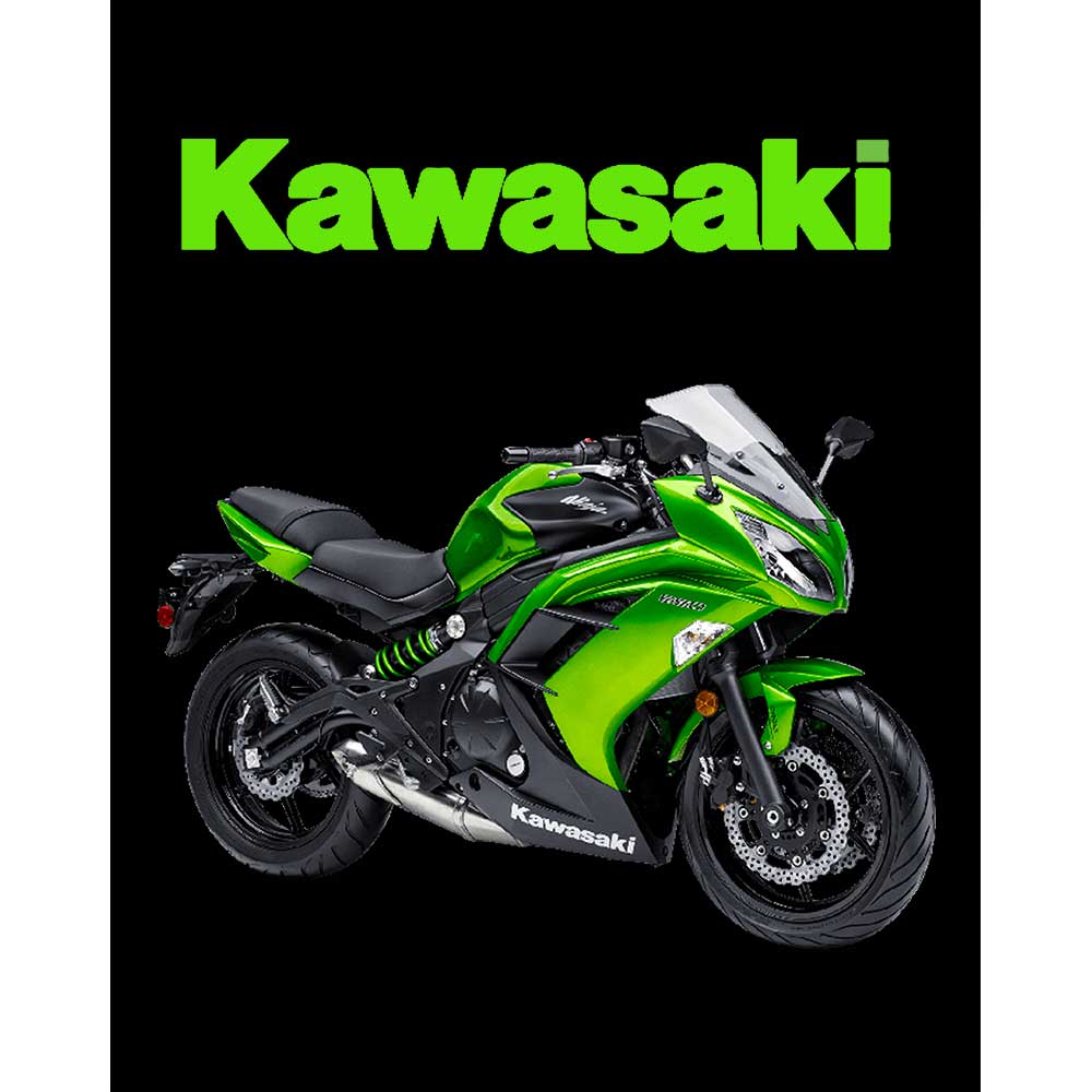 Kawasaki Ninja 650R Büyük Sırt Patch Yama | Zepplin Giyim