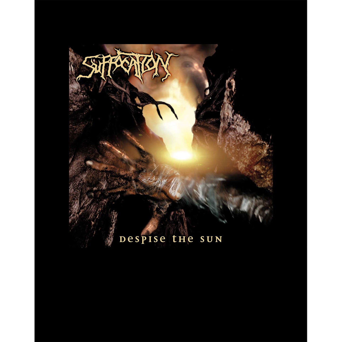 Suffacation Despise The Sun Siyah Büyük Sırt Patch Yama