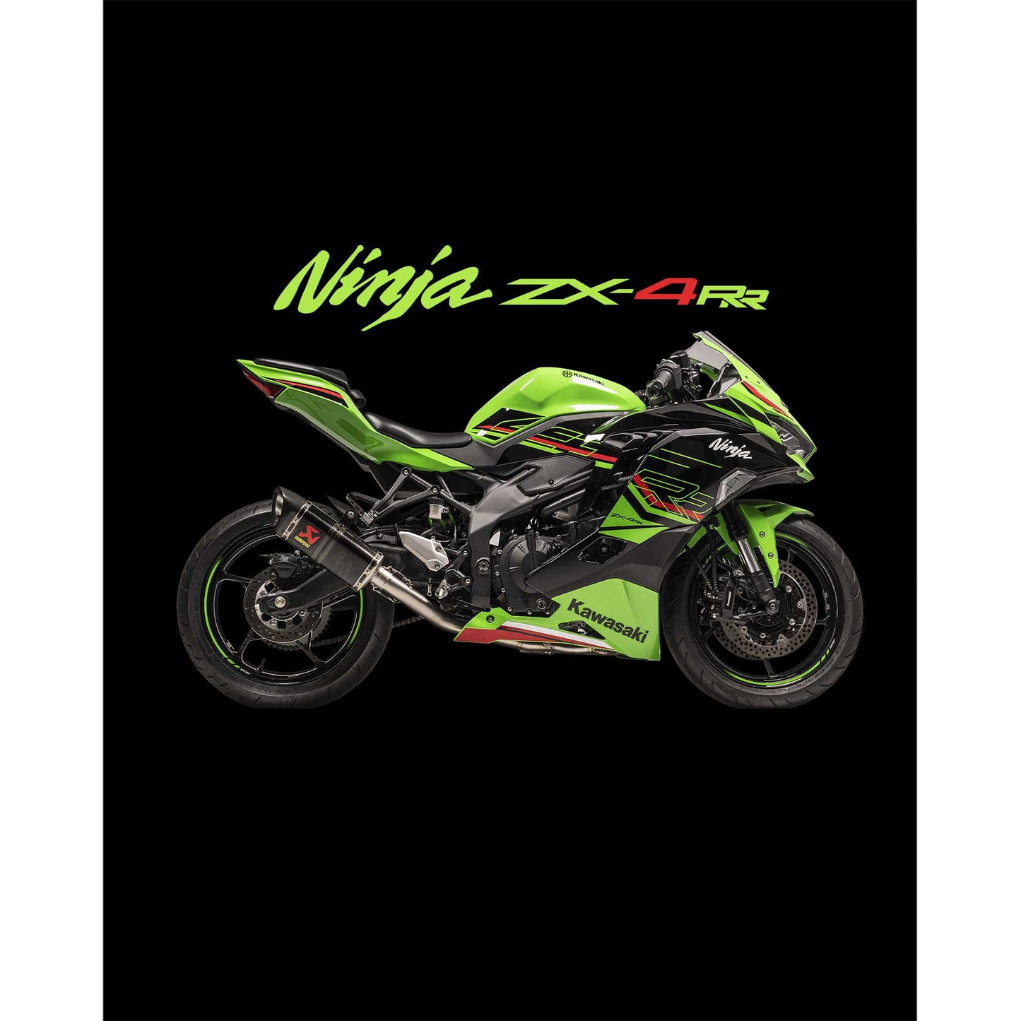 Kawasaki Ninja ZX4RR Büyük Sırt Patch Yama