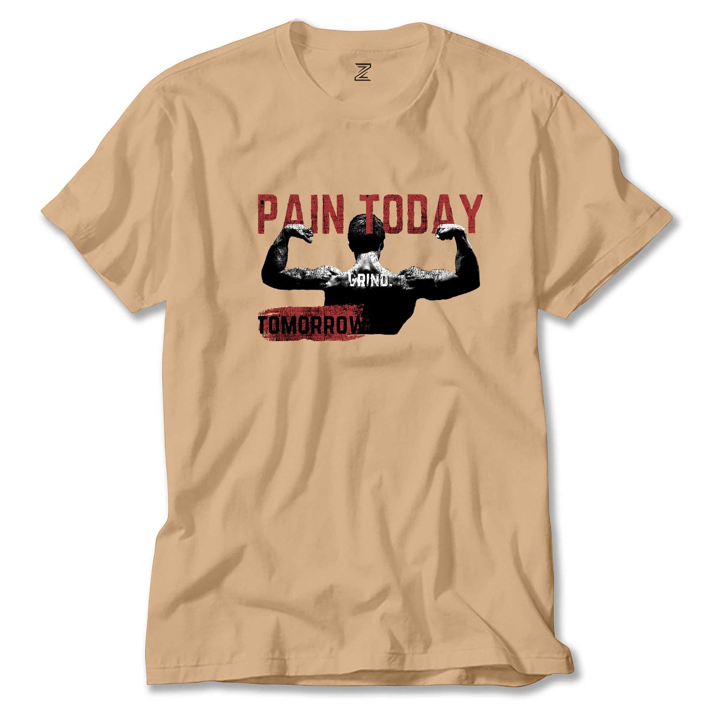 Paın Today Renkli Tişört