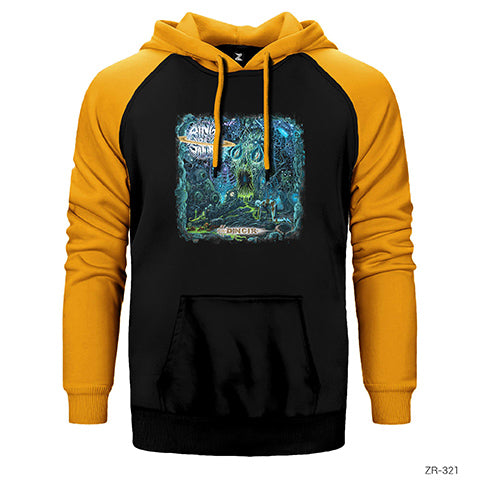 Aigns of Saturn Çift Renk Reglan Kol Sweatshirt / Hoodie
