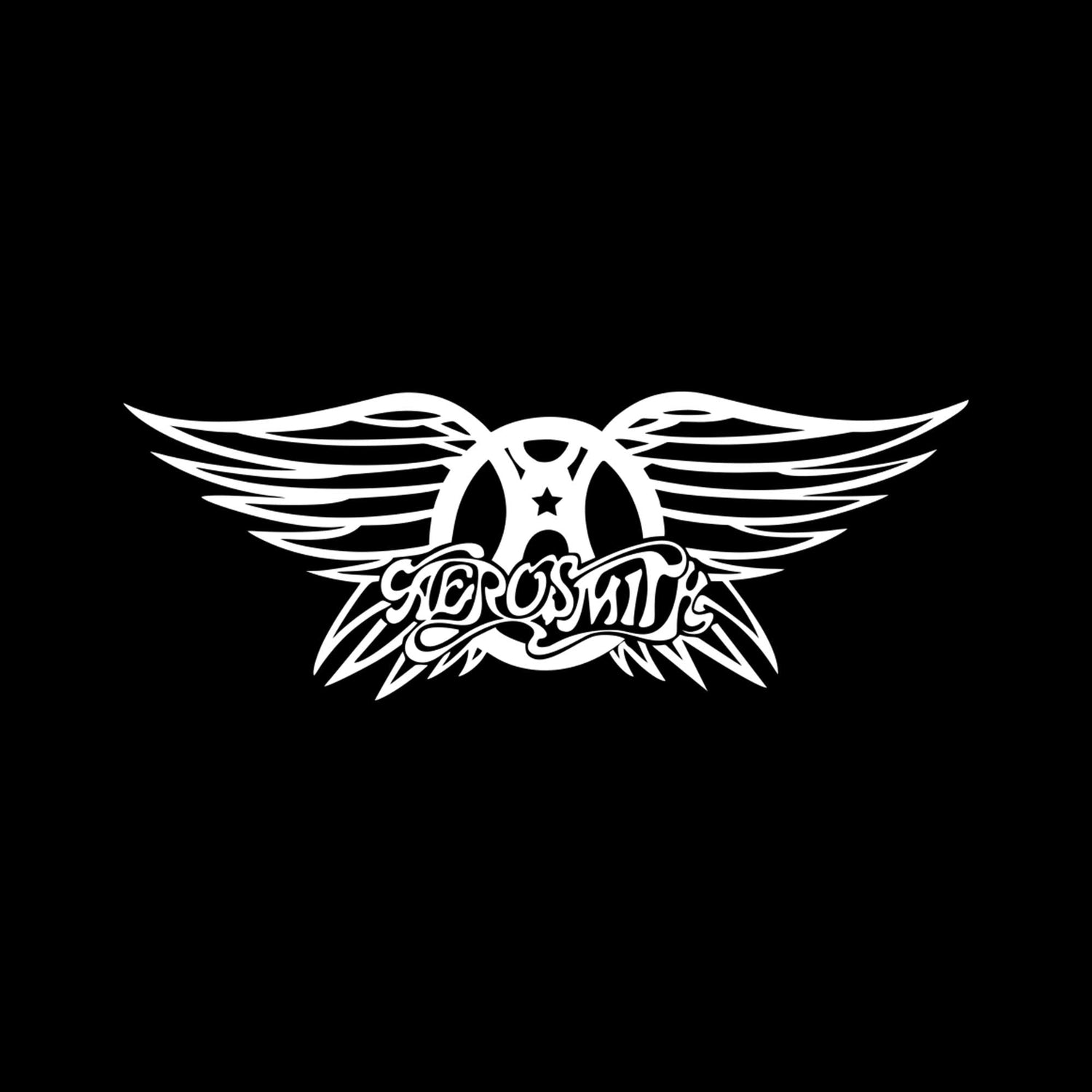 Aerosmith Tişörtler