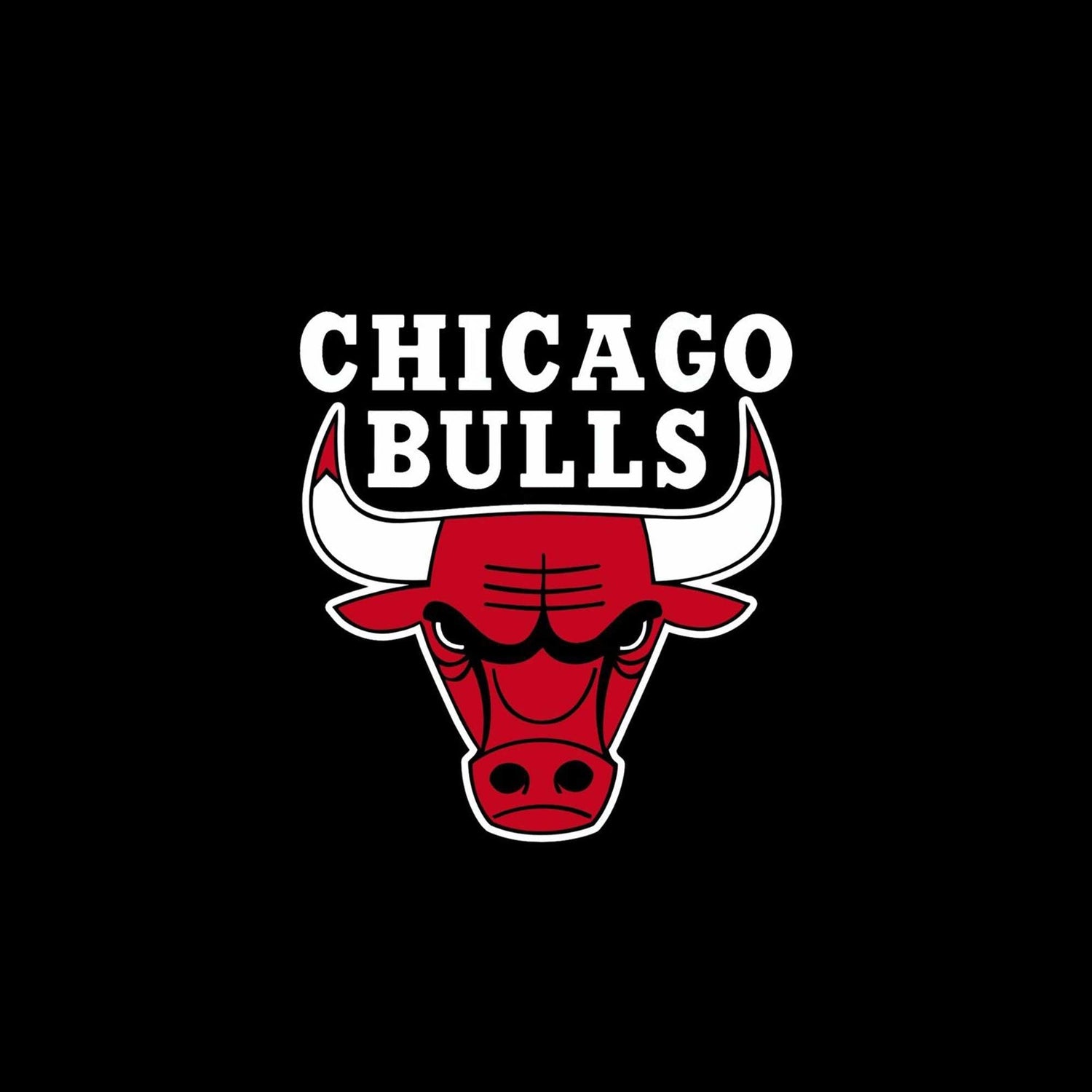 Chicago Bulls Tişörtler