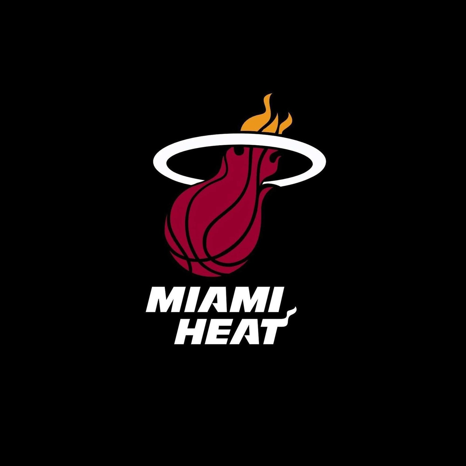 Miami Heat Tişörtler