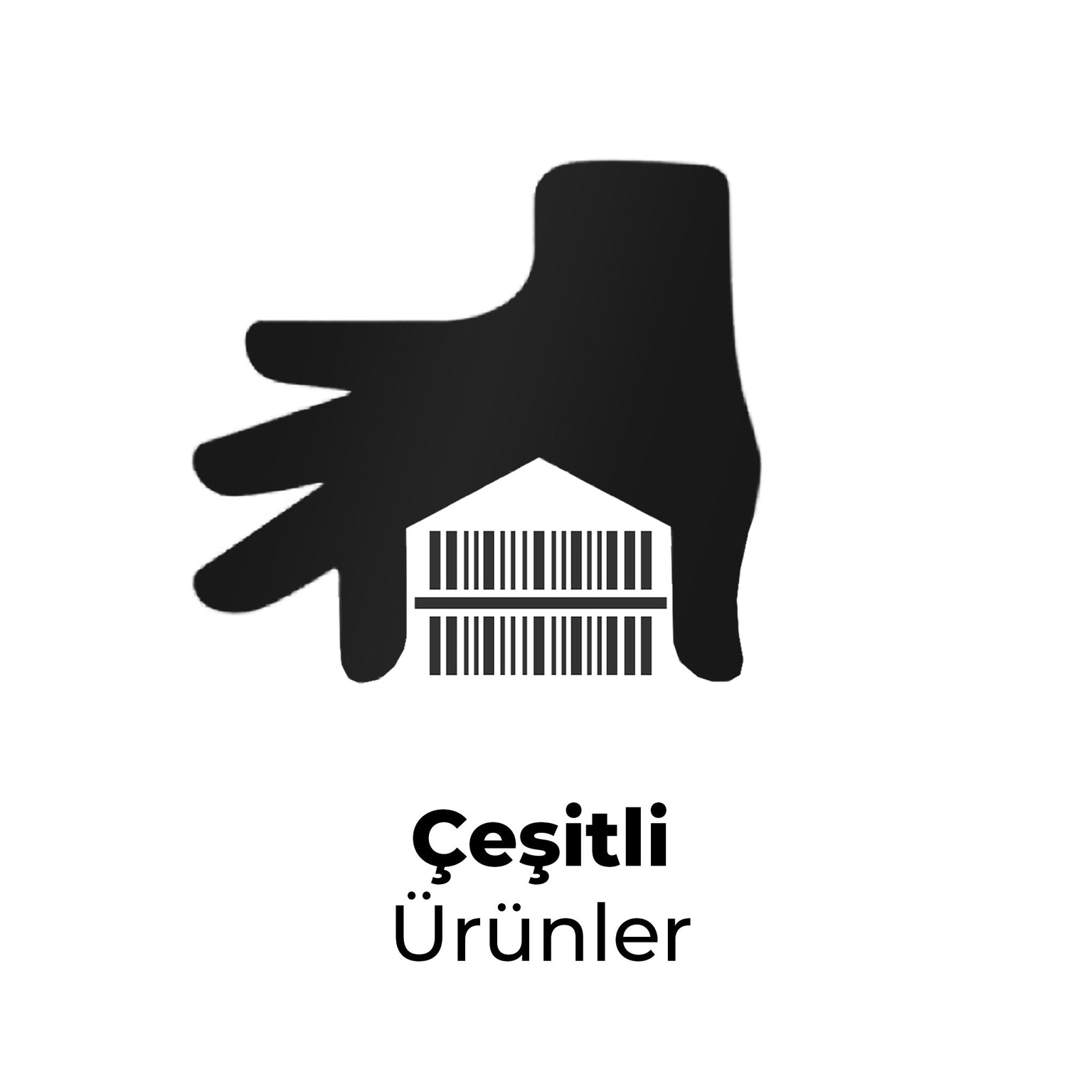 Çeşitli Tişörtleri