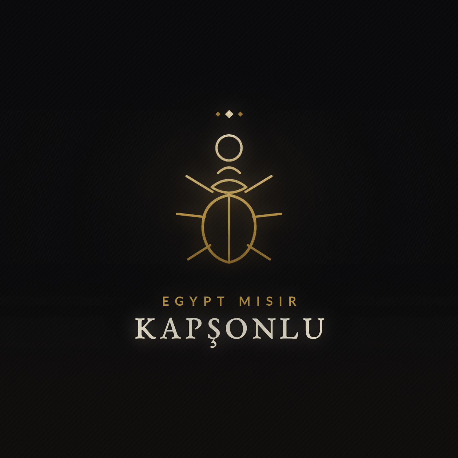Egypt Mısır kapşonlu sweatshirt koleksiyonu - kutsal bok böceği scarab sembollü kapak