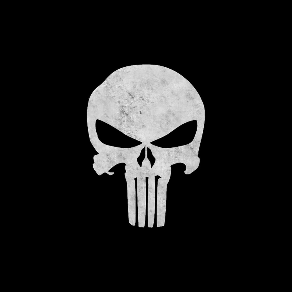 Punisher Ürünleri kapak