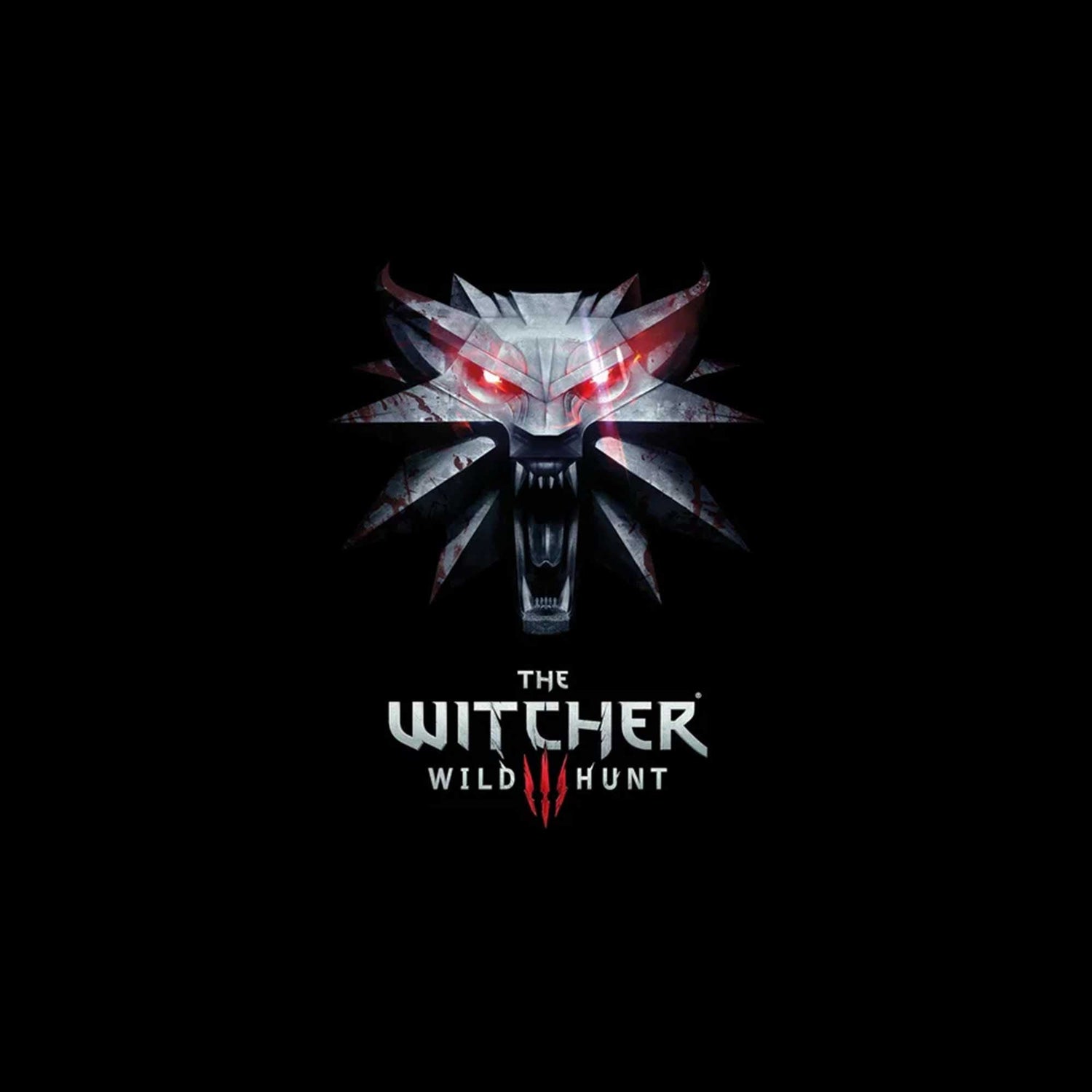 The Witcher Tişörtleri