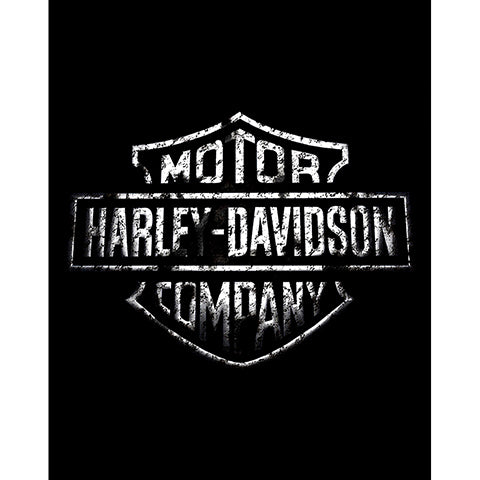 Harley Davidson Damaged Logo Büyük Sırt Patch Yama