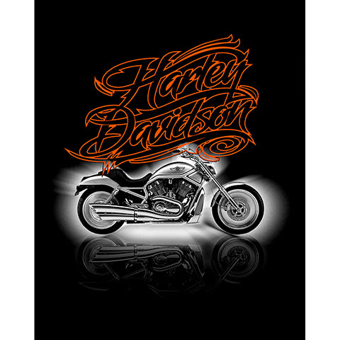 Harley Davidson Lined Büyük Sırt Patch Yama