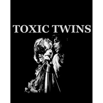 Aerosmith Toxic Twins Büyük Sırt Patch Yama