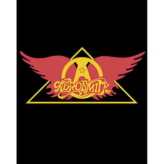 Aerosmith Wing Büyük Sırt Patch Yama