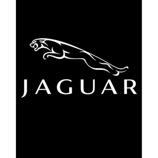 Jaguar Logo 2 Büyük Sırt Patch Yama