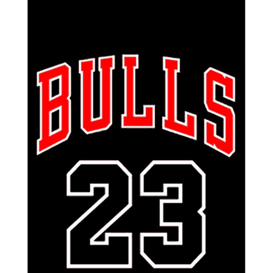 Chicago Bulls 23 Büyük Sırt Patch Yama