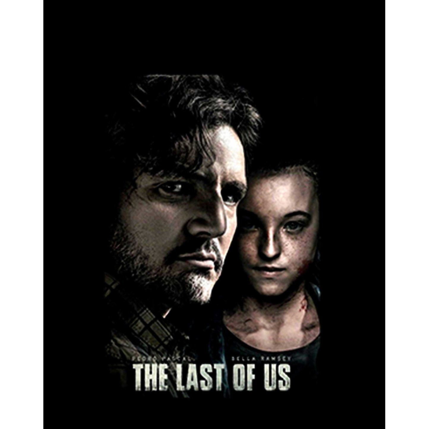 The Last Of Us Poster Büyük Sırt Patch Yama