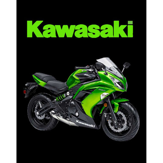 Kawasaki Ninja 650R Büyük Sırt Patch Yama