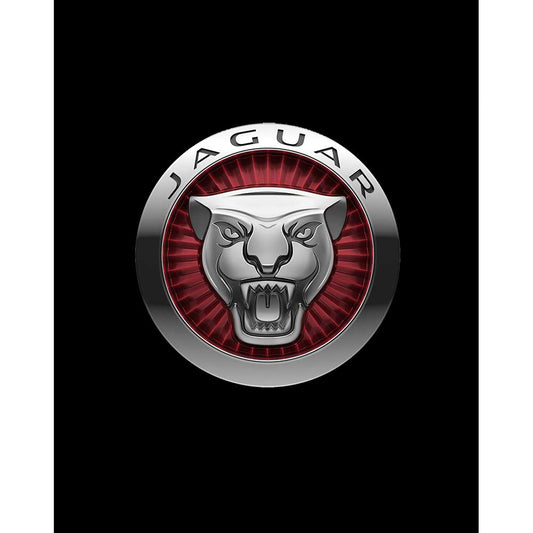 Jaguar Color Logo Büyük Sırt Patch Yama