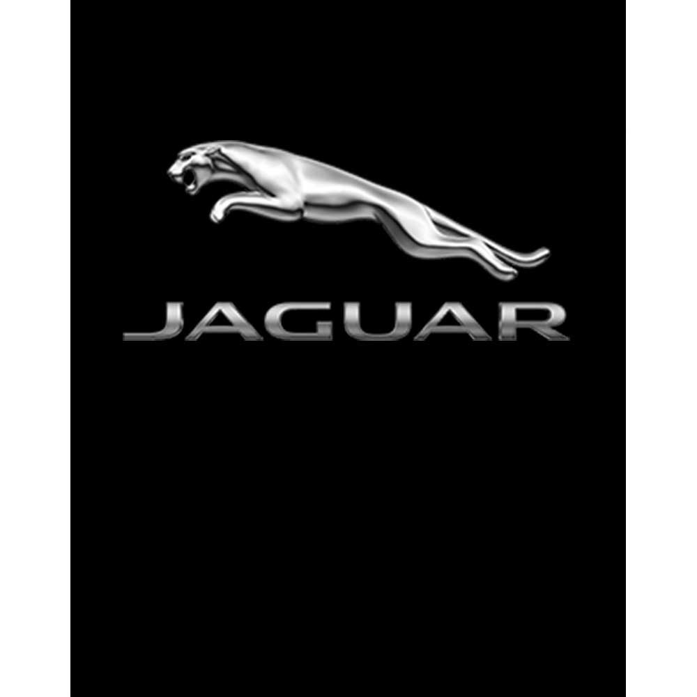 Jaguar Logo Silver Büyük Sırt Patch Yama