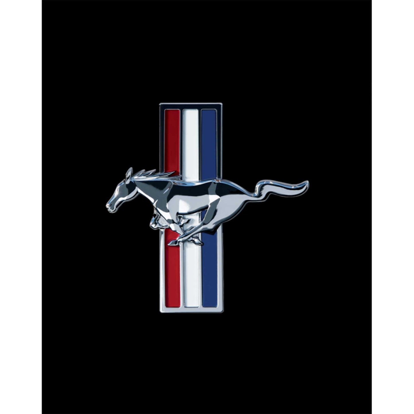 Ford Mustang Logo Büyük Sırt Patch Yama