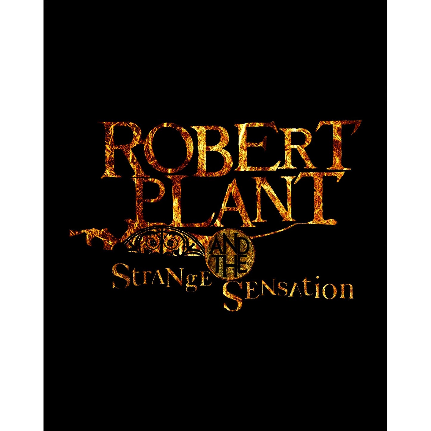 Robert Plant And The Strange Sensation Büyük Sırt Patch Yama