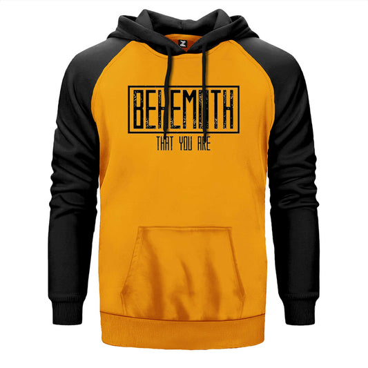 Behemoth That You Are Çift Renk Reglan Kol Sweatshirt