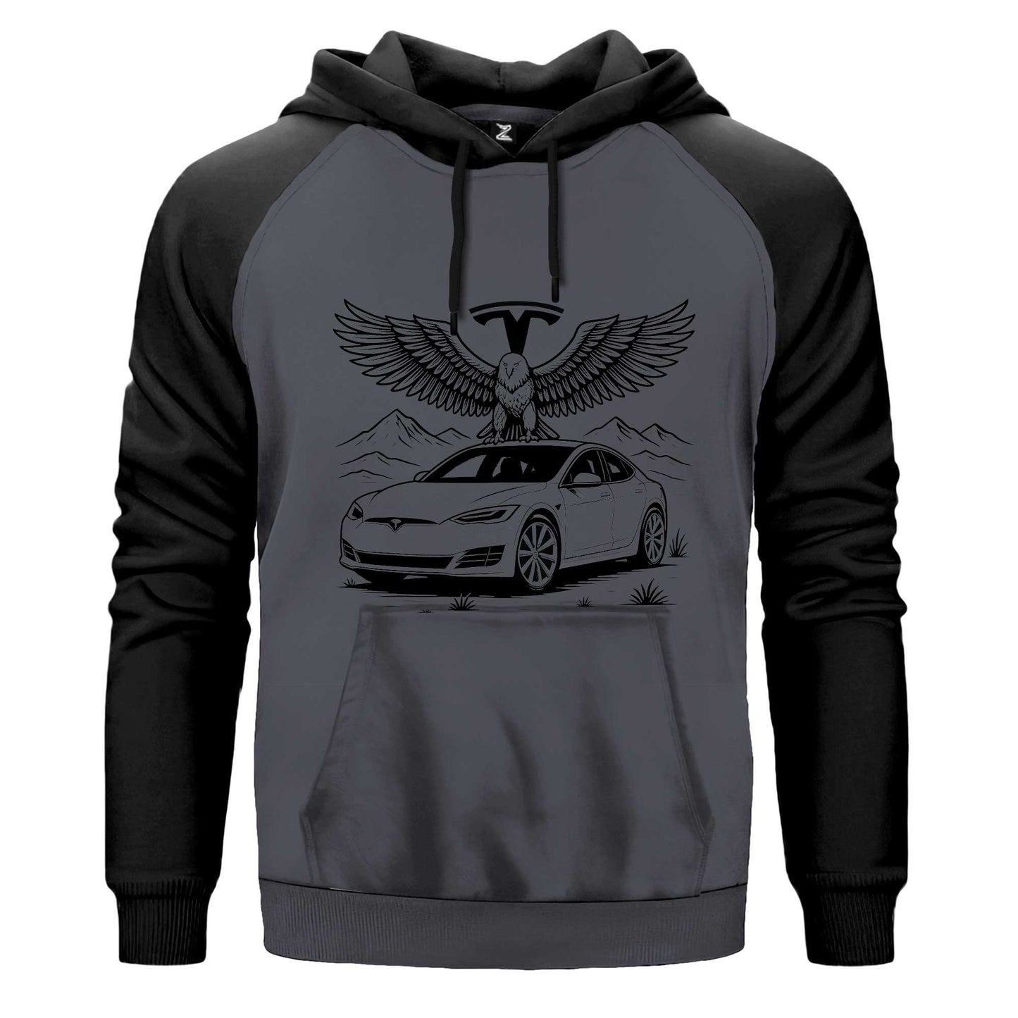 Tesla And Eagle Çift Renk Reglan Kol Sweatshirt Kapşonlu