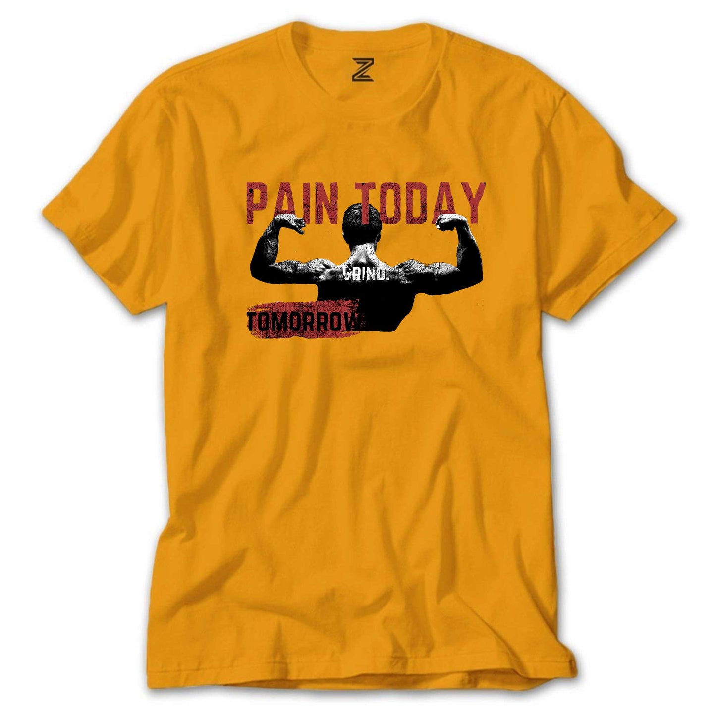 Paın Today Renkli Tişört