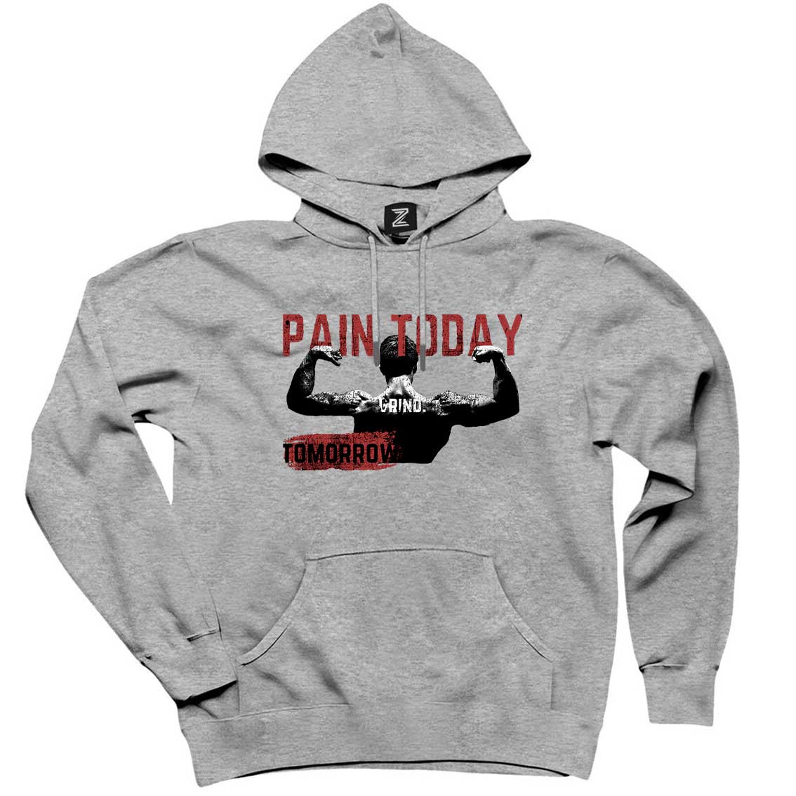 Paın Today Gri Kapşonlu Sweatshirt Hoodie