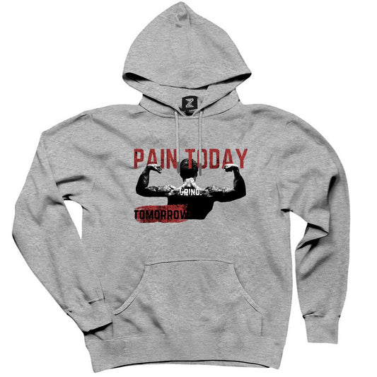 Paın Today Gri Kapşonlu Sweatshirt Hoodie