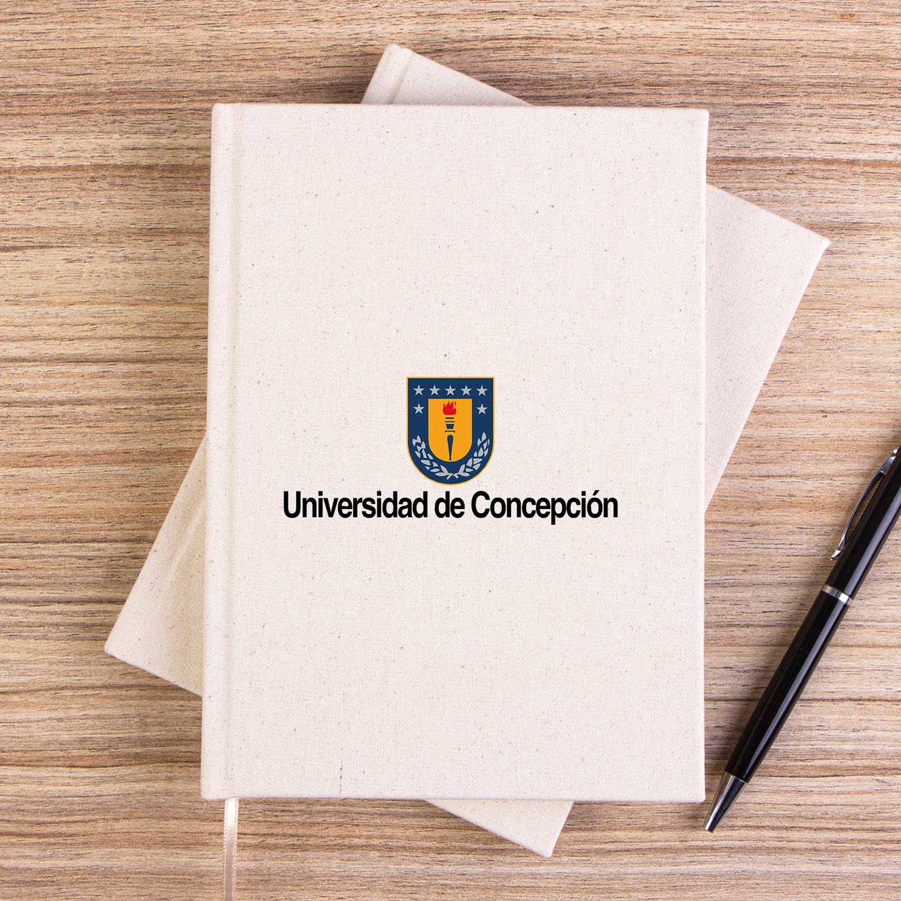 Concepcion University Logo Çizgisiz Kanvas Defter