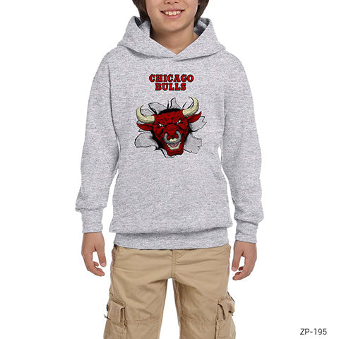 Chicago Bulls 3D Gri Çocuk Kapşonlu Sweatshirt