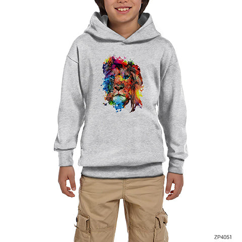 Aslan Colorful Splash Gri Çocuk Kapşonlu Sweatshirt