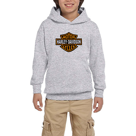 Harley Davidson Logo Gri Çocuk Kapşonlu Sweatshirt