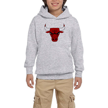 Chicago Bulls Logo Gri Çocuk Kapşonlu Sweatshirt