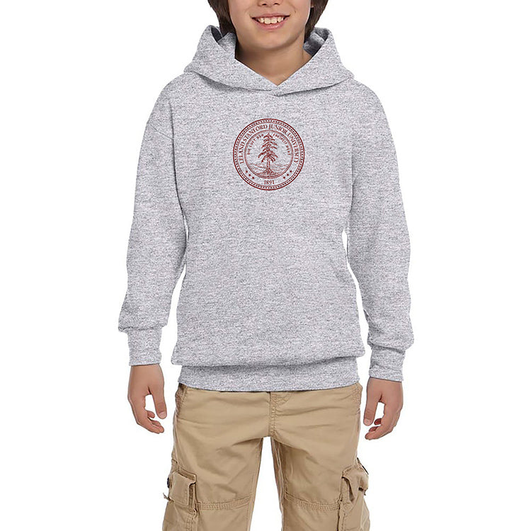 Stanford University Circle Logo Gri Çocuk Kapşonlu Sweatshirt