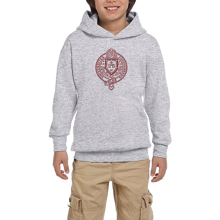 Fordham University Logo Gri Çocuk Kapşonlu Sweatshirt