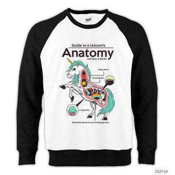 Unicorn Anatomy Reglan Kol Beyaz Sweatshirt