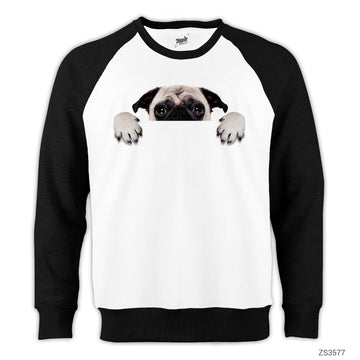 Pug Köpek Reglan Kol Beyaz Sweatshirt