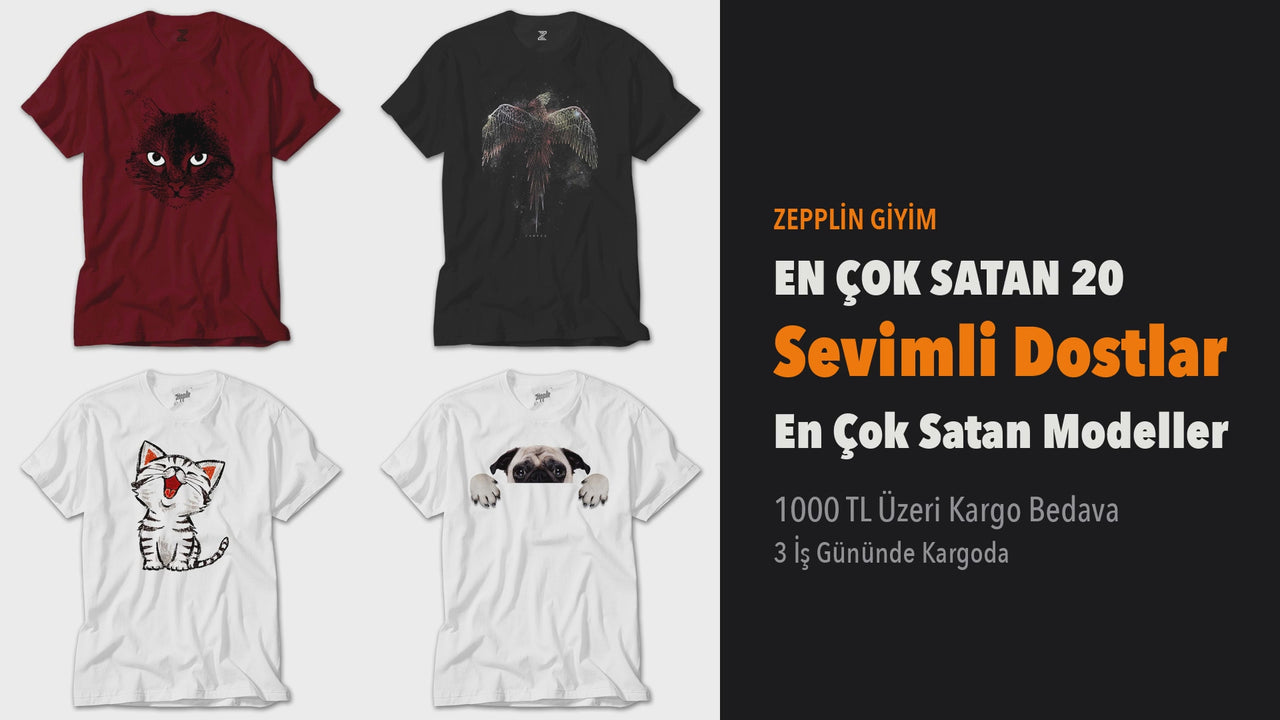 sevimli-dostlar