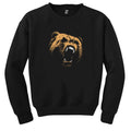 Grizzly Bear Siyah Sweatshirt - Zepplingiyim
